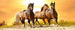 Dimex Horses in Sunset Papier Peint 375x150cm 5 bandes | Yourdecoration.fr