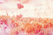 Dimex Poppies Abstract Papier Peint 375x250cm 5 bandes | Yourdecoration.fr