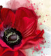 Dimex Poppy Papier Peint 225x250cm 3 bandes | Yourdecoration.fr