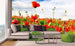 Dimex Red Poppies Papier Peint 375x250cm 5 bandes ambiance | Yourdecoration.fr