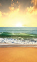 Dimex Sea Sunset Papier Peint 150x250cm 2 bandes | Yourdecoration.fr