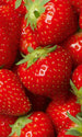 Dimex Strawberry Papier Peint 150x250cm 2 bandes | Yourdecoration.fr