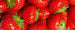 Dimex Strawberry Papier Peint 375x150cm 5 bandes | Yourdecoration.fr