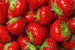 Dimex Strawberry Papier Peint 375x250cm 5 bandes | Yourdecoration.fr