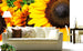 Dimex Sunflowers Papier Peint 375x250cm 5 bandes ambiance | Yourdecoration.fr