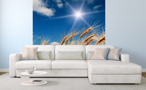 Dimex Wheat Field Papier Peint 225x250cm 3 bandes ambiance | Yourdecoration.fr