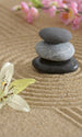 Dimex Zen Garden Papier Peint 150x250cm 2 bandes | Yourdecoration.fr