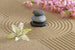 Dimex Zen Garden Papier Peint 375x250cm 5 bandes | Yourdecoration.fr