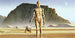 Komar Star Wars Classic RMQ Droids Papier Peint Intissé 500x250cm 10 bandes | Yourdecoration.fr