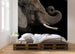 Komar Afrikaanse Olifant Papier Peint Intissé 300X280cm 6 pièces ambiance | Yourdecoration.fr