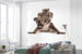 Komar Koala Papier Peint Intissé 300X280cm 6 pièces ambiance | Yourdecoration.fr