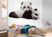 Komar Reuzenpanda Papier Peint Intissé 300X280cm 6 pièces ambiance | Yourdecoration.fr