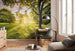 Komar Golden Moment Papier Peint Intissé 400x250cm 4 bandes ambiance | Yourdecoration.fr