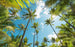 Komar Coconut Heaven Papier Peint Intissé 450x280cm 9 bandes | Yourdecoration.fr