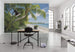 Komar Fiji Dreams Boat Papier Peint Intissé 450x280cm 9 bandes ambiance | Yourdecoration.fr