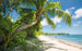 Komar Fiji Dreams Boat Papier Peint Intissé 450x280cm 9 bandes | Yourdecoration.fr