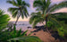 Komar Hawaiian Dreams Papier Peint Intissé 450x280cm 9 bandes | Yourdecoration.fr