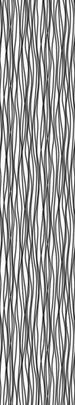 Komar Zebra Papier Peint 50x270cm 1 bande | Yourdecoration.fr