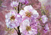 Komar Blooming Gems Papier Peint Intissé 368x248cm | Yourdecoration.fr